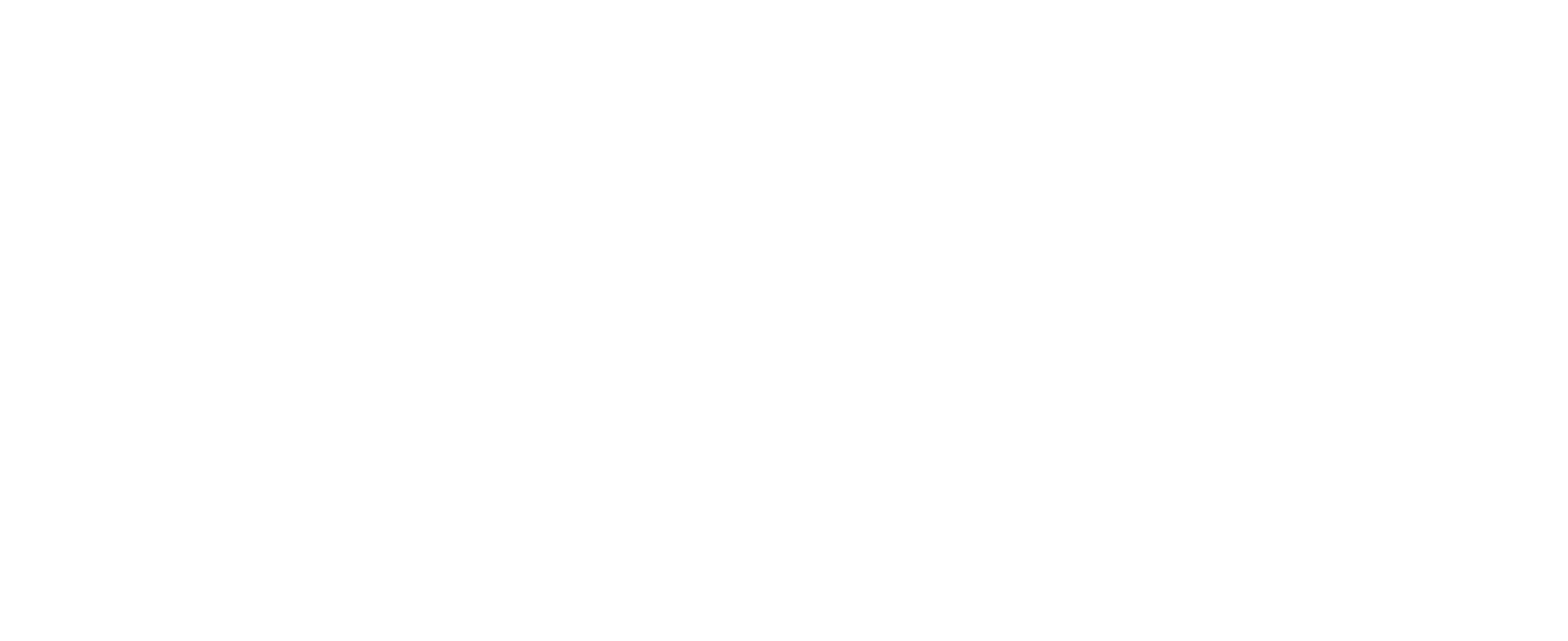 NT STUDIOS works with brands, busiensses, companies, events to tell stories & create marketing assets for digital. by Noah Taher